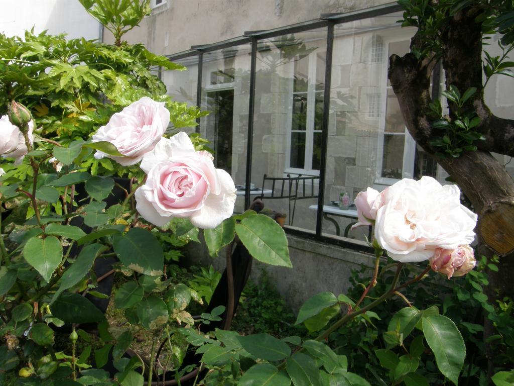 La Maison Douce Saint-Martin-de-Re Exterior photo